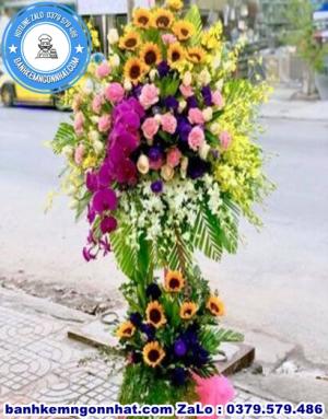 Hoa Khai Trương 42